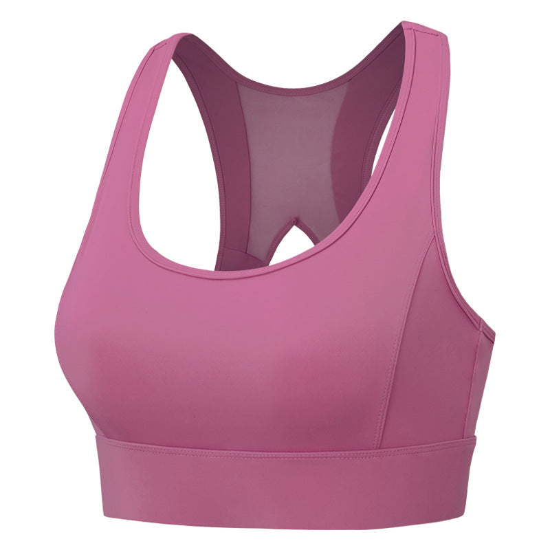 Woman's Bra