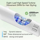 Smart Pet Hair Dryer Dog Golden Retriever Cat Grooming Hairdressing Blow & Comb