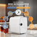 Mini Refrigerator 4L-6 Cans, Portable Compact Refrigerator Skincare, Food And Beverage