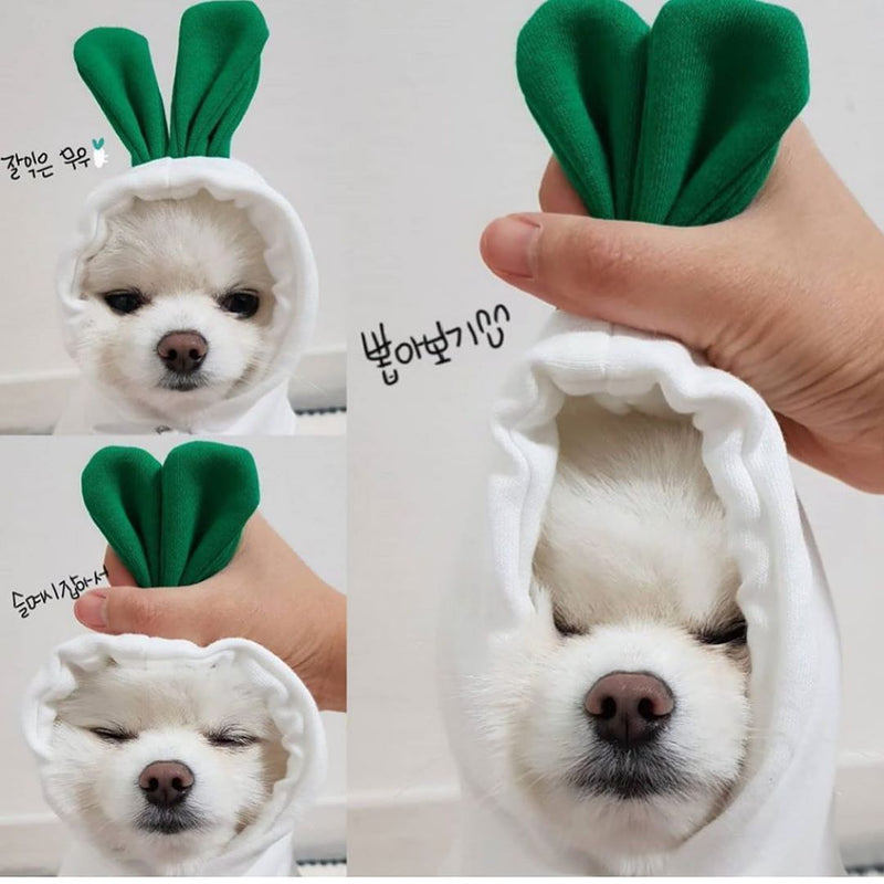 Cute Fruit Dog Clothes For Small Dogs Hoodies Winter Warm Fleece Pet Clothing Puppy Outfit