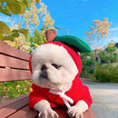 Cute Fruit Dog Clothes For Small Dogs Hoodies Winter Warm Fleece Pet Clothing Puppy Outfit