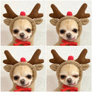 Cute Fruit Dog Clothes For Small Dogs Hoodies Winter Warm Fleece Pet Clothing Puppy Outfit