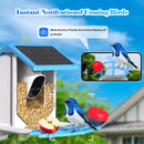Smart Bird Feeder With Camera, Solar-Powered, Motion Detection WiFi 4MP Live Camera, AI Identify Bird Species
