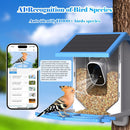 Smart Bird Feeder With Camera, Solar-Powered, Motion Detection WiFi 4MP Live Camera, AI Identify Bird Species