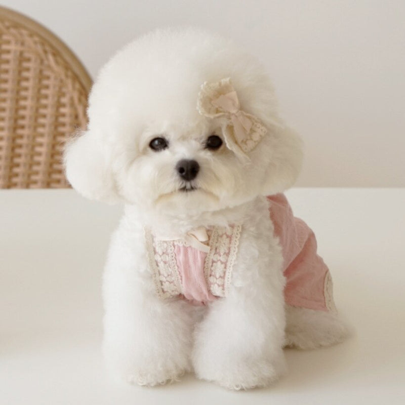 Lace Sling Bichon Teddy Dog Skirt Cotton Pet Clothes with Hairpin Cat Dress Soft and Comfortable Spring Summer