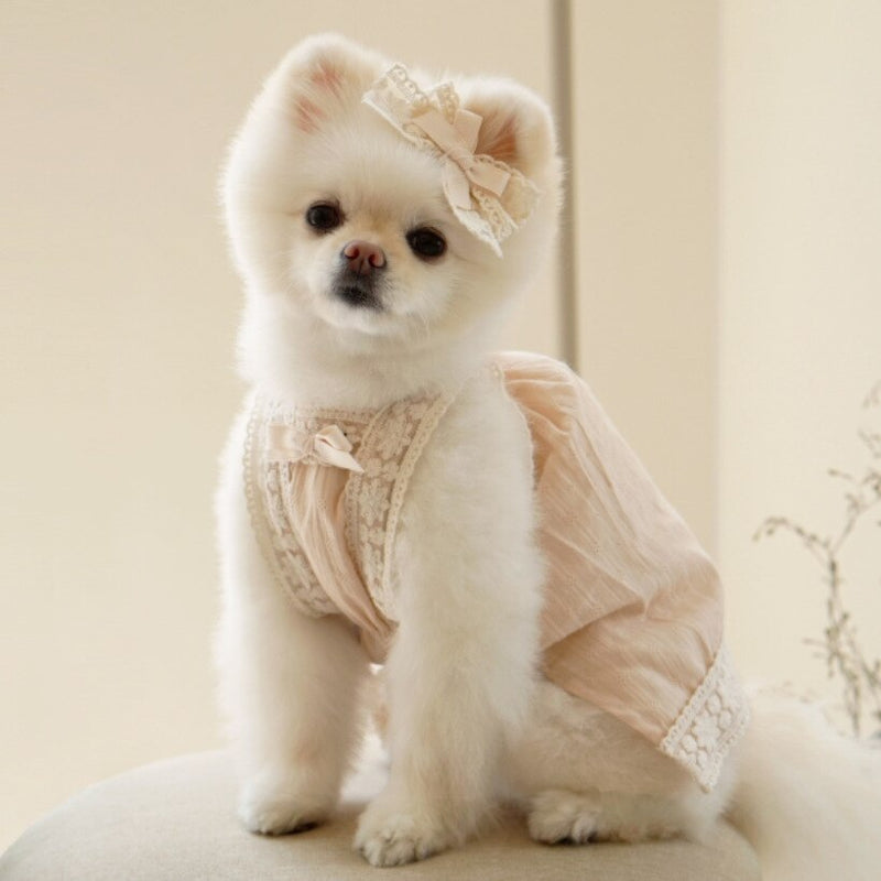 Lace Sling Bichon Teddy Dog Skirt Cotton Pet Clothes with Hairpin Cat Dress Soft and Comfortable Spring Summer