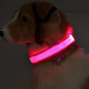 Nylon LED Pet Dog Luminous Collar Night Safety Flashing Glow in Dark Dog Cat Leash