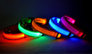 Nylon LED Pet Dog Luminous Collar Night Safety Flashing Glow in Dark Dog Cat Leash