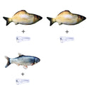 Electric Jumping Fish Simulation Electric Fish Toy