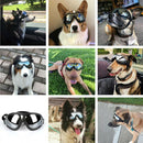 Dog Diving Glasses