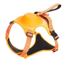 Dog Chest and back integrated, retractable dog walking leash