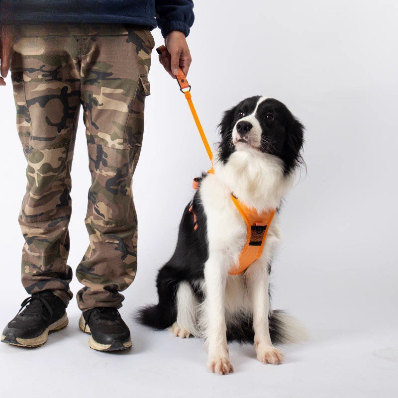 Dog Chest and back integrated, retractable dog walking leash