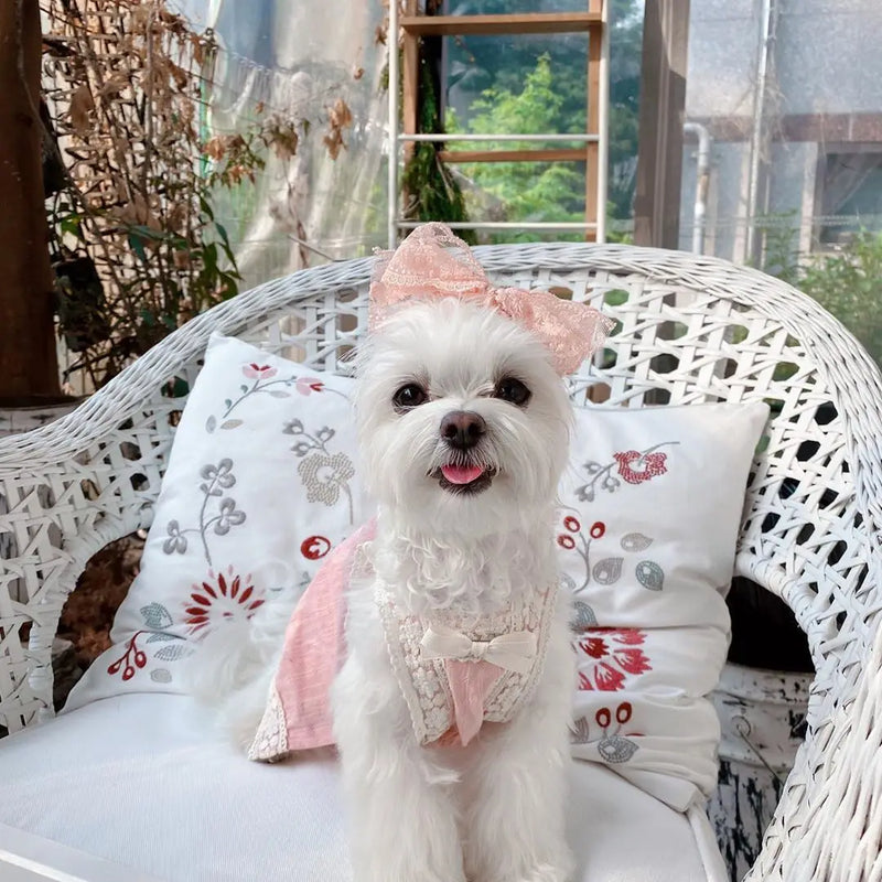 Lace Sling Bichon Teddy Dog Skirt Cotton Pet Clothes with Hairpin Cat Dress Soft and Comfortable Spring Summer