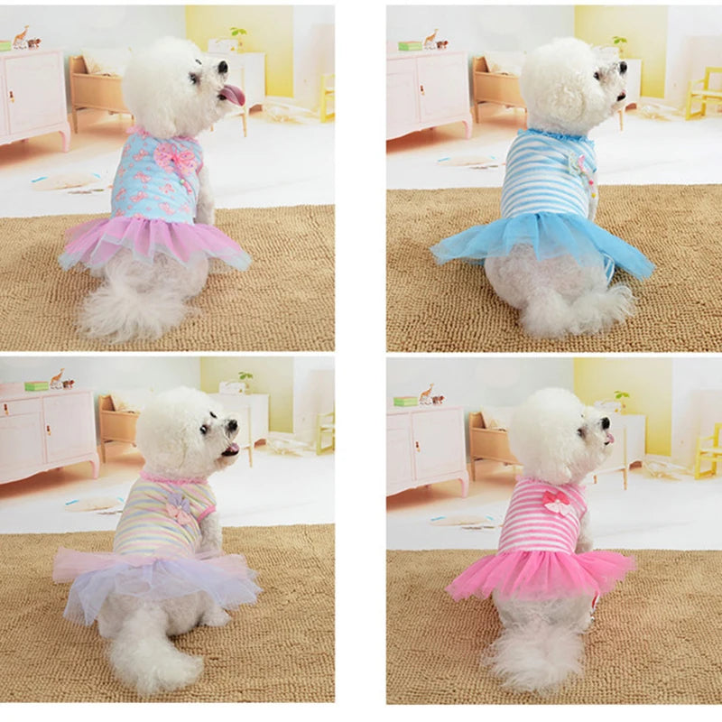 Dog Clothes Mesh Dress Princess Dress Cute Cat Teddy Small Dog Pet Clothing Flannel Autumn and Winter Clothing Pet Accessories