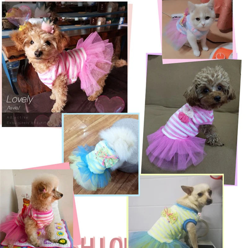 Dog Clothes Mesh Dress Princess Dress Cute Cat Teddy Small Dog Pet Clothing Flannel Autumn and Winter Clothing Pet Accessories