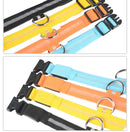 Nylon LED Pet Dog Luminous Collar Night Safety Flashing Glow in Dark Dog Cat Leash