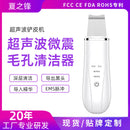 New Sonic Exfoliator art Blackhead Remover Cleanser Pore cleaner