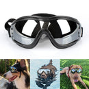 Dog Diving Glasses
