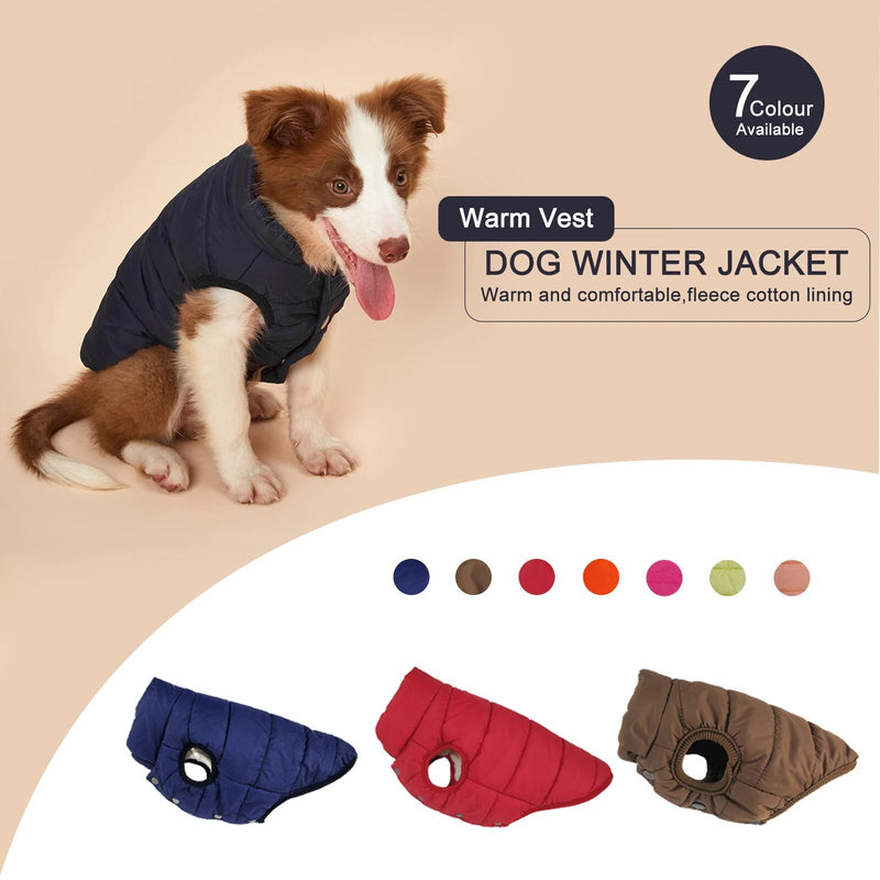 Dog Outdoor Winter Jacket