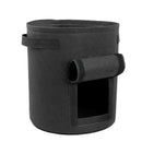 𝗟𝗮𝗿𝗴𝗲 𝗣𝗼𝘁𝗮𝘁𝗼, 𝗩𝗲𝗴 𝗚𝗿𝗼𝘄𝗶𝗻𝗴 𝗣𝗹𝗮𝗻𝘁 𝗕𝘂𝗰𝗸𝗲𝘁