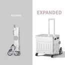 𝟓𝟎𝐋 𝐏𝐨𝐫𝐭𝐚𝐛𝐥𝐞 𝐋𝐢𝐠𝐡𝐭𝐰𝐞𝐢𝐠𝐡𝐭 𝐒𝐡𝐨𝐩𝐩𝐢𝐧𝐠 𝐂𝐚𝐫𝐭