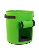 𝗟𝗮𝗿𝗴𝗲 𝗣𝗼𝘁𝗮𝘁𝗼, 𝗩𝗲𝗴 𝗚𝗿𝗼𝘄𝗶𝗻𝗴 𝗣𝗹𝗮𝗻𝘁 𝗕𝘂𝗰𝗸𝗲𝘁