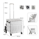 𝟓𝟎𝐋 𝐏𝐨𝐫𝐭𝐚𝐛𝐥𝐞 𝐋𝐢𝐠𝐡𝐭𝐰𝐞𝐢𝐠𝐡𝐭 𝐒𝐡𝐨𝐩𝐩𝐢𝐧𝐠 𝐂𝐚𝐫𝐭