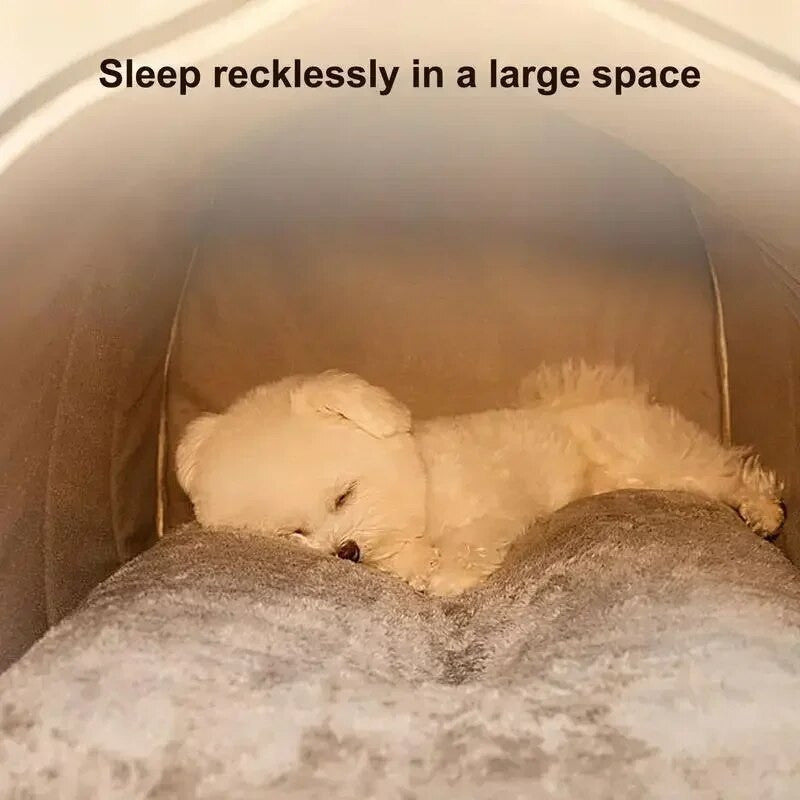 𝗦𝗺𝗮𝗹𝗹 𝗠𝗲𝗱𝗶𝘂𝗺-𝘀𝗶𝘇𝗲𝗱 𝗗𝗼𝗴 𝗖𝗮𝘁 𝗞𝗲𝗻𝗻𝗲𝗹