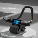 𝐀𝐛𝐬 𝐄𝐱𝐞𝐫𝐜𝐢𝐬𝐞 𝐆𝐲𝐦 𝐖𝐡𝐞𝐞𝐥 𝐑𝐨𝐥𝐥𝐞𝐫