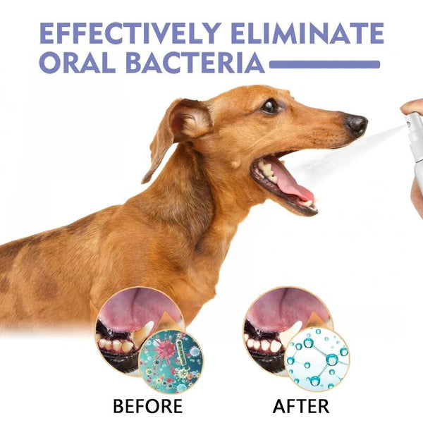 Pet Oral Care Teeth Cleaning Spray