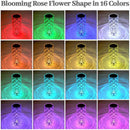 𝐿𝐸𝐷 𝐶𝑟𝑦𝑠𝑡𝑎𝑙 𝐶𝑜𝑙𝑜𝑟𝑓𝑢𝑙 𝑅𝑜𝑠𝑒 𝐿𝑖𝑔ℎ𝑡 𝐿𝑎𝑚𝑝