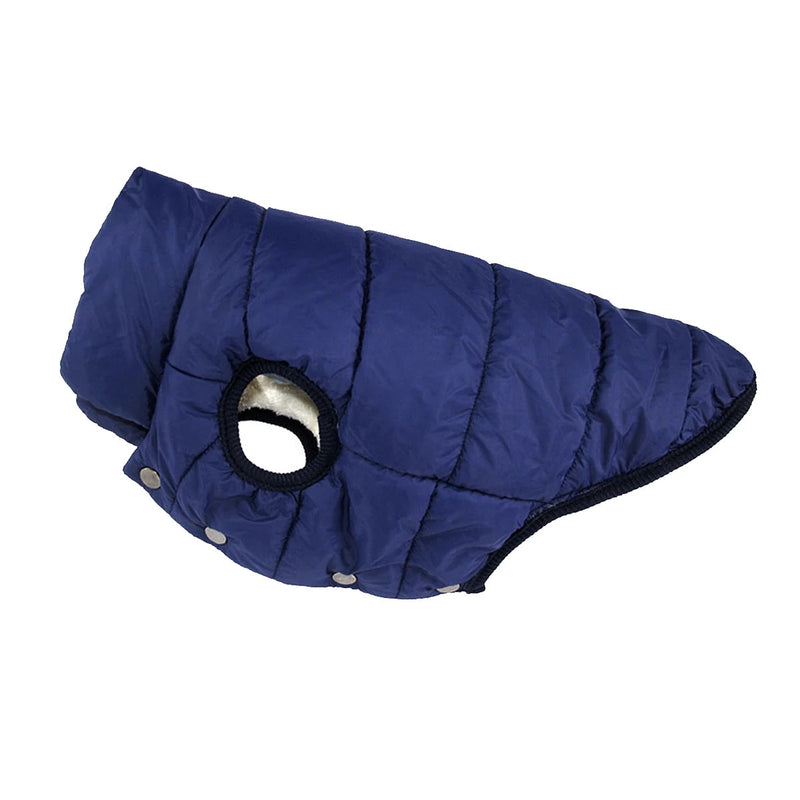 Dog Outdoor Winter Jacket