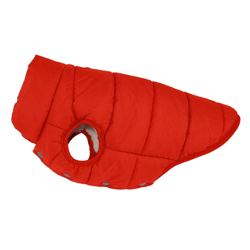 Dog Outdoor Winter Jacket