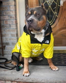 Windbreaker Raincoat Hoodie For Dogs