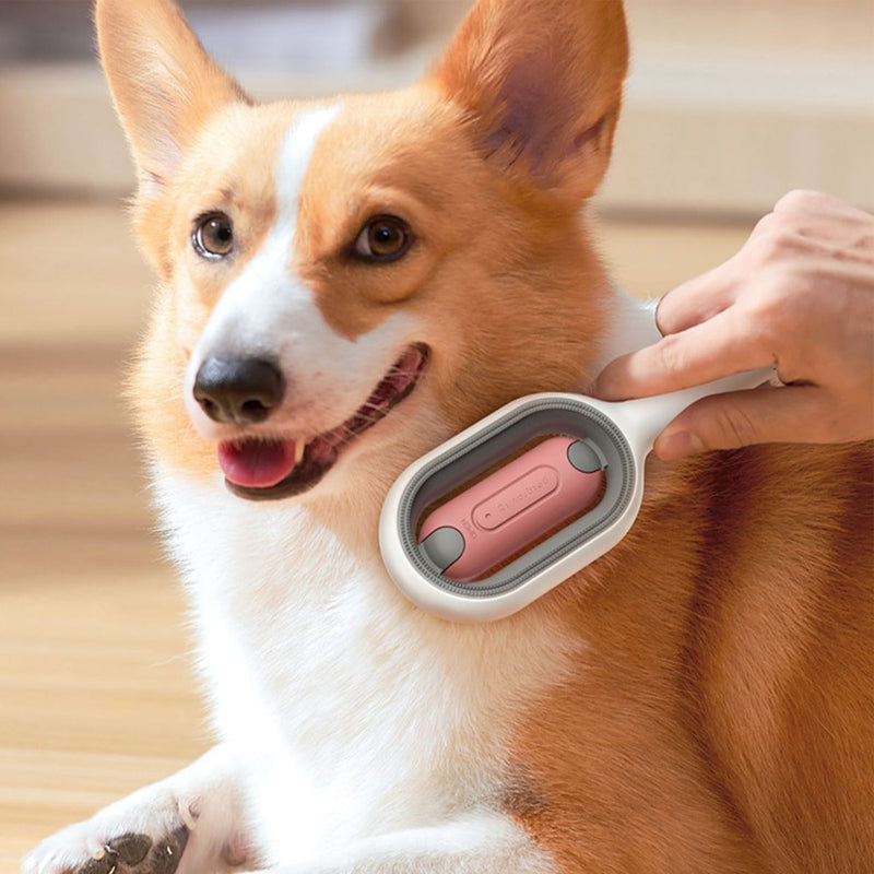 𝐏𝐞𝐭 𝐆𝐫𝐨𝐨𝐦𝐢𝐧𝐠 𝐌𝐚𝐬𝐬𝐚𝐠𝐞 𝐂𝐨𝐦𝐛 𝐁𝐫𝐮𝐬𝐡