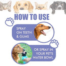 Pet Oral Care Teeth Cleaning Spray