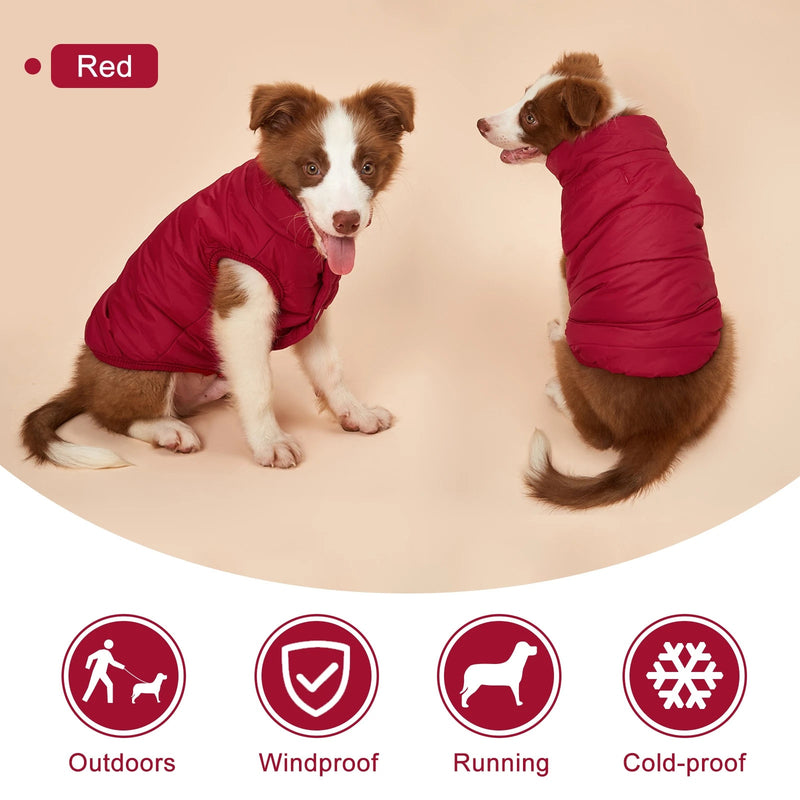 Dog Outdoor Winter Jacket