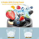 Portable Mini Electric Fruit Juicer Blender