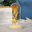 𝐄𝐭𝐞𝐫𝐧𝐚𝐥 𝐋𝐄𝐃 𝐋𝐢𝐠𝐡𝐭 𝐆𝐥𝐚𝐬𝐬 𝐂𝐨𝐯𝐞𝐫 𝐑𝐨𝐬𝐞